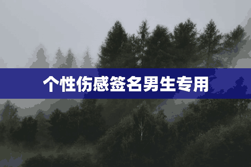 个性伤感签名男生专用(个性伤感签名男生专用网名)